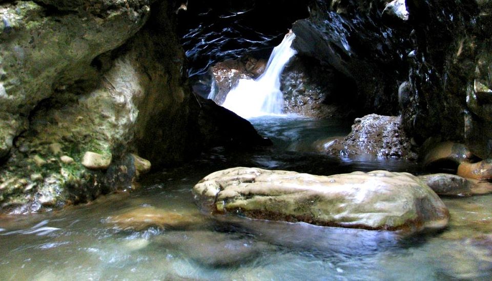 Robber's Cave Dehradun: Nature's Retreat